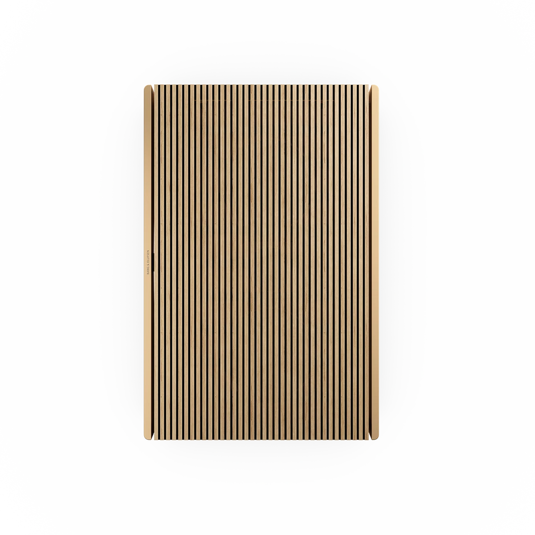 Bang & Olufsen Beosound Level Taşınabilir Multiroom Kablosuz Hoparlör