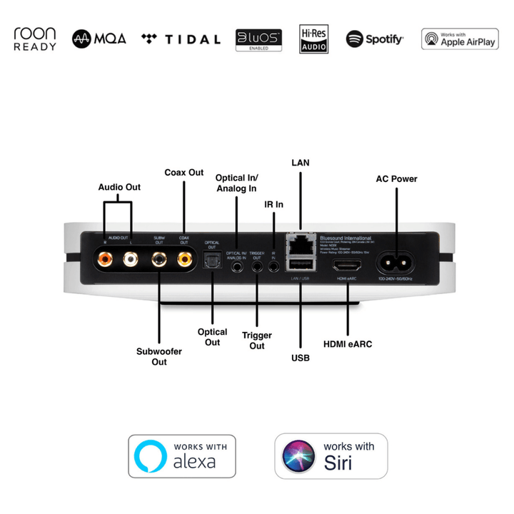 Blue Sound Node N130 Streamer 4