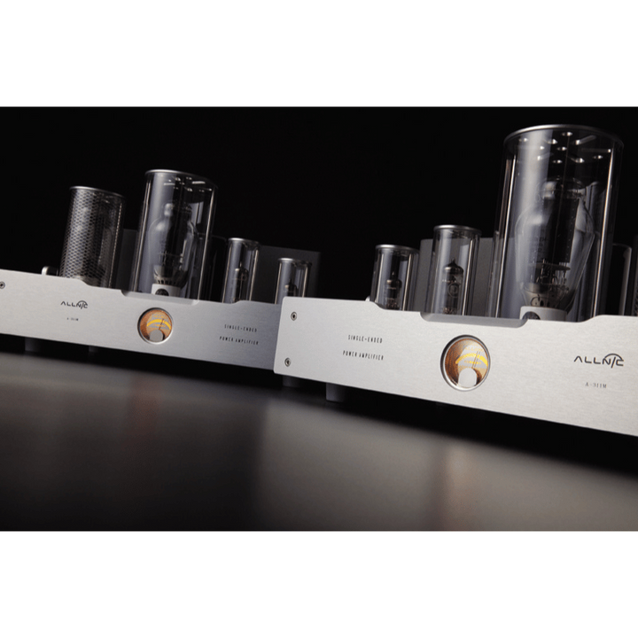 Allnic Audio A 311M Lambalı Mono Güç amplifikatörü 3